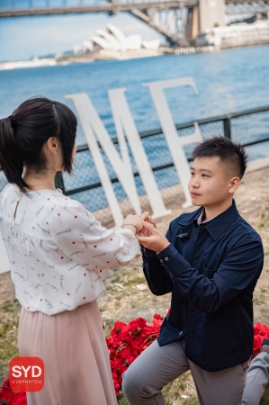 悉尼惊喜求婚|悉尼求婚|悉尼求婚策划